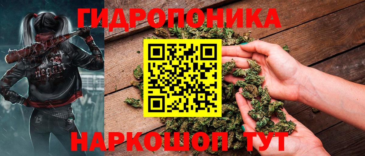 МАРИХУАНА конопля Лесосибирск